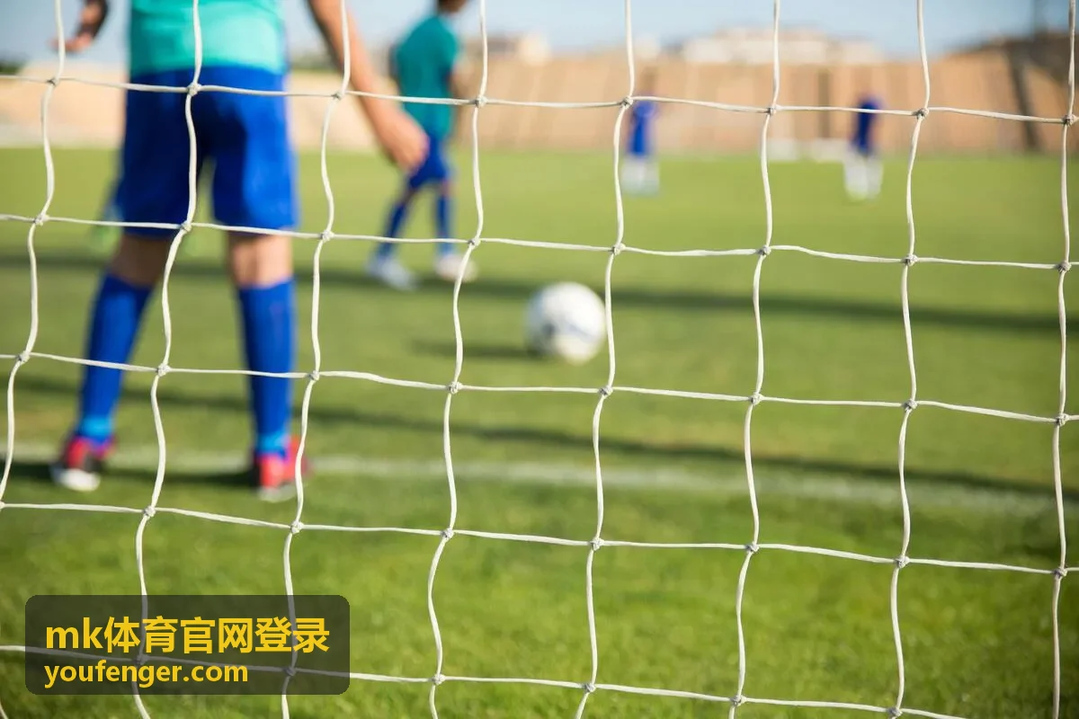 mk体育官网登录账号安全核对示意图