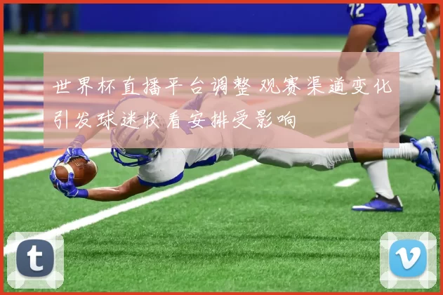 世界杯直播平台调整 观赛渠道变化引发球迷收看安排受影响