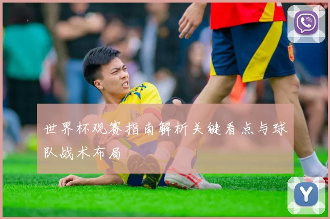 世界杯观赛指南解析关键看点与球队战术布局