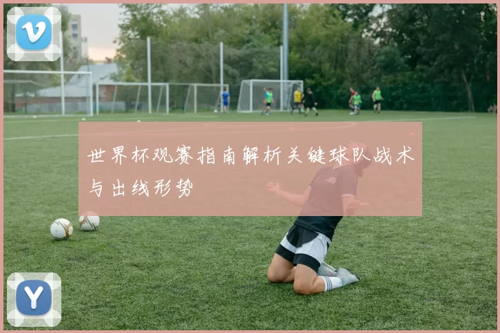 世界杯观赛指南解析关键球队战术与出线形势