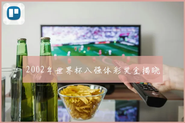 2002年世界杯八强体彩奖金揭晓