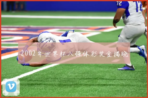 2002年世界杯八强体彩奖金揭晓