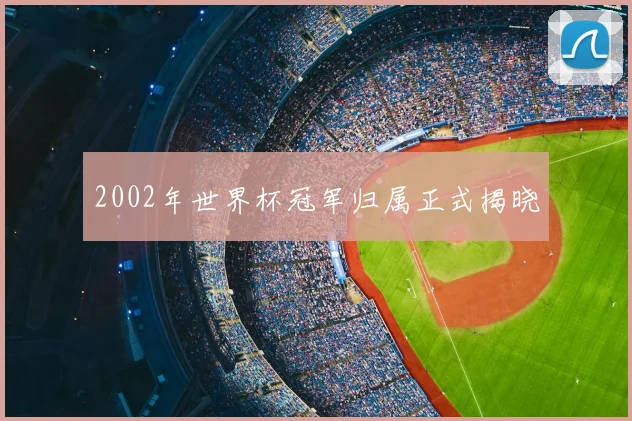 2002年世界杯冠军归属正式揭晓