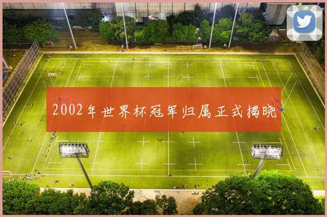 2002年世界杯冠军归属正式揭晓